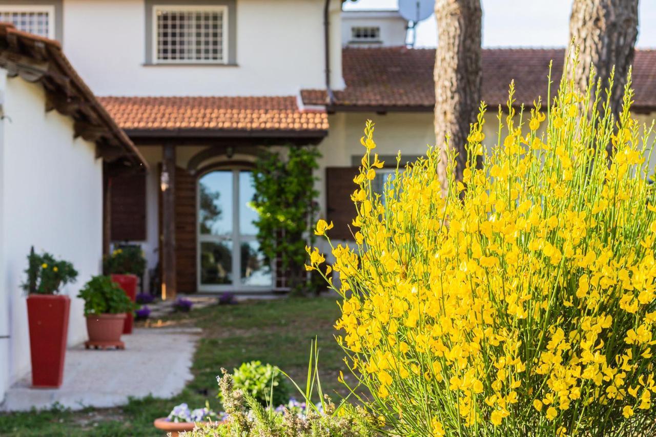 Otricoli Casale Le Brecce B&B מראה חיצוני תמונה