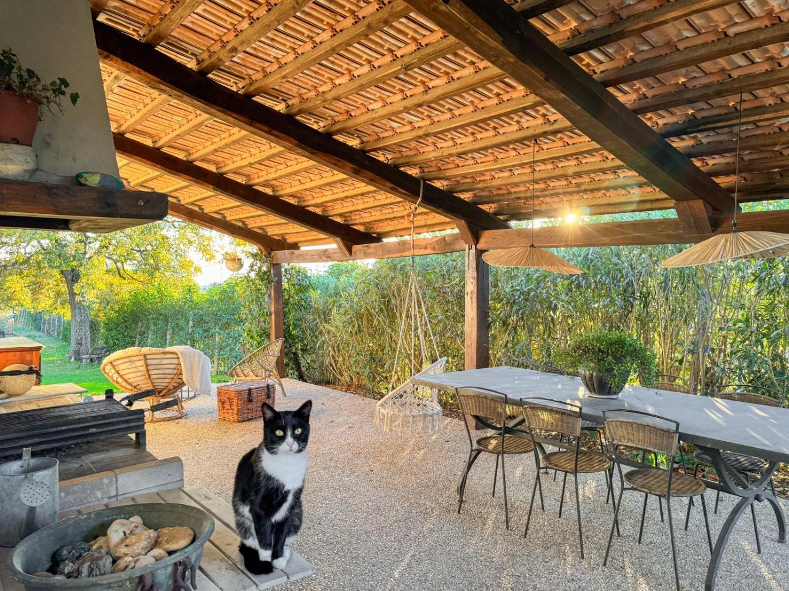 Otricoli Casale Le Brecce B&B מראה חיצוני תמונה